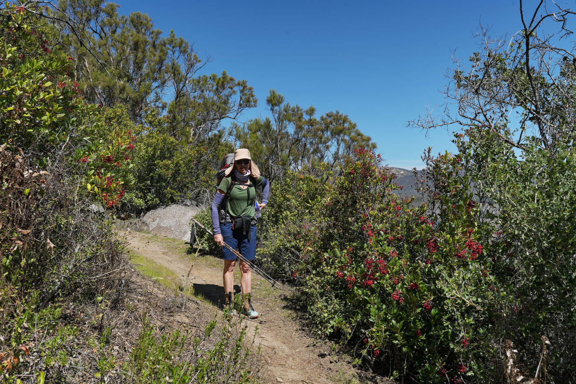 J2 Flowers on the PCT