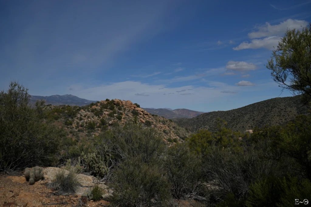 J11 Au mileu du désert d’Anza Borrego