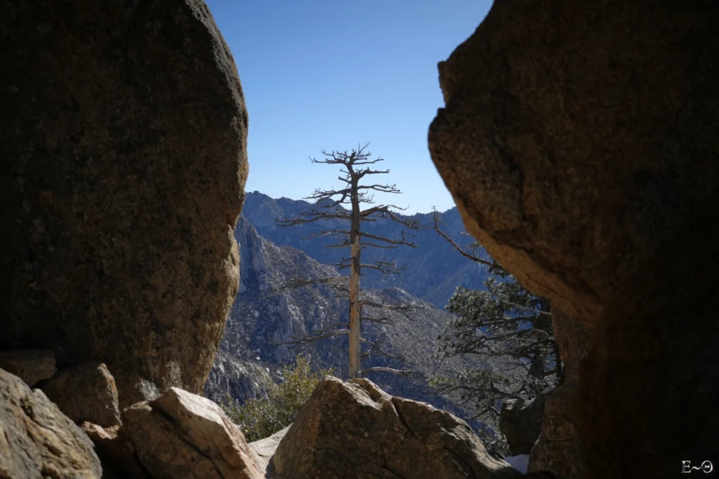 J13 les flancs sud du Tahquitz