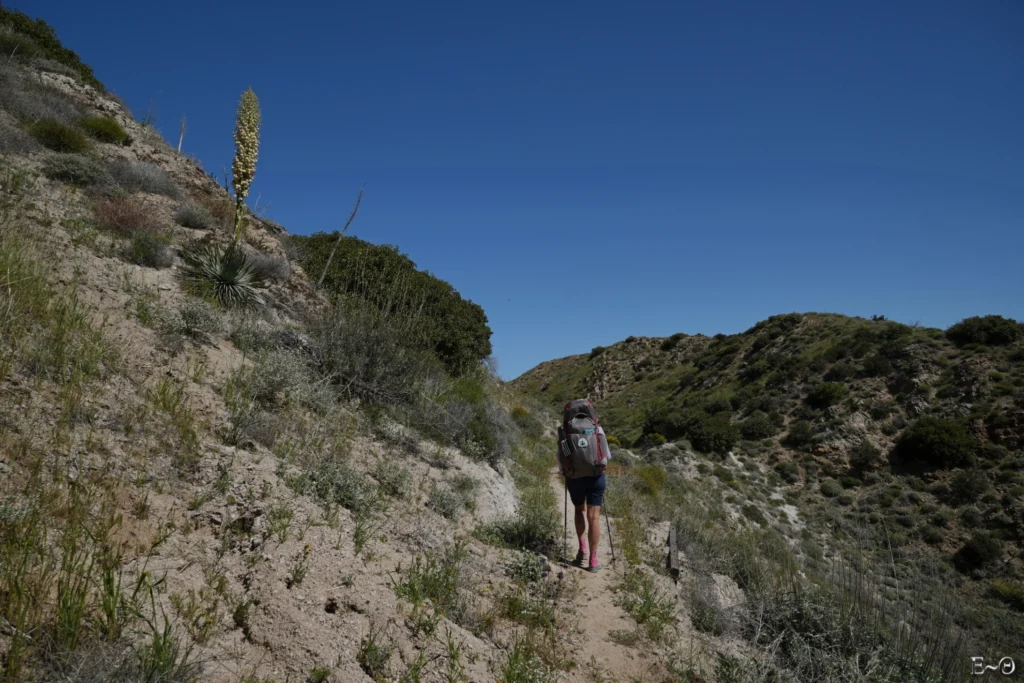 J16 en montée vers le col de Yucca