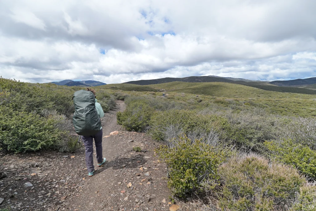 J5 Les collines du Mt Laguna