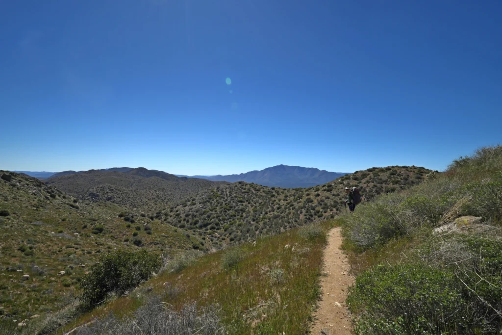 J7 PCT dans la verdure SAn Felipe Hills