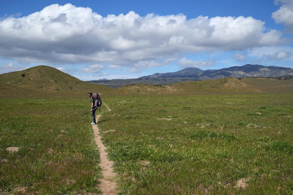 J8 Prairie dans la vallée de San José