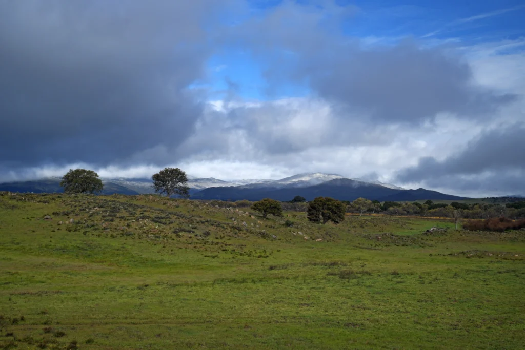 J9 Collines enneigées