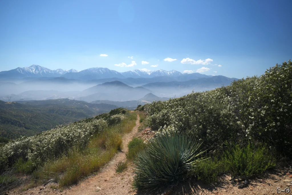 J24 Au loin les Monts San Bernardino