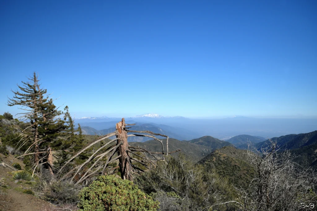 J26 Au sud le San Bernardino