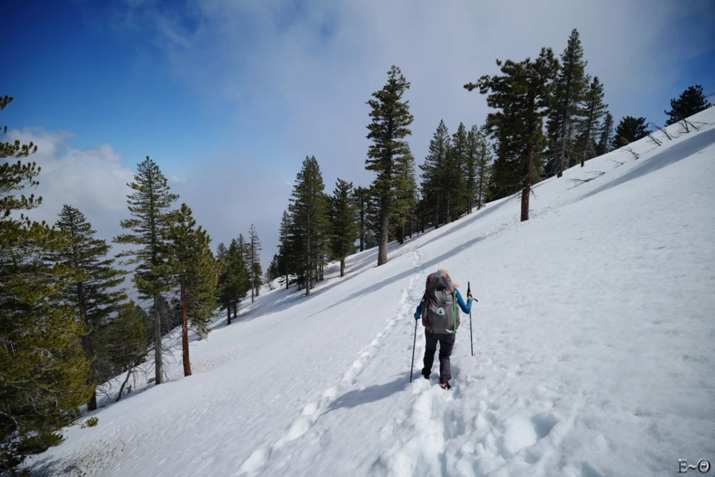 J28 Dans les pentes de Sheep Mountain sous Throop Peak