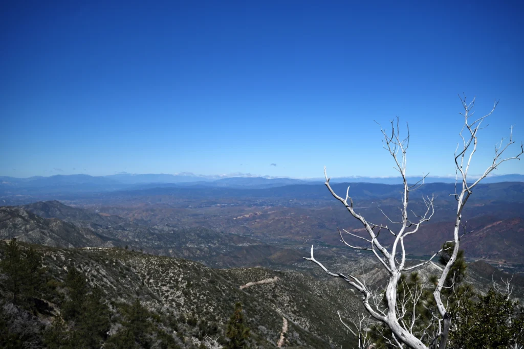 J31 Un océan de collines