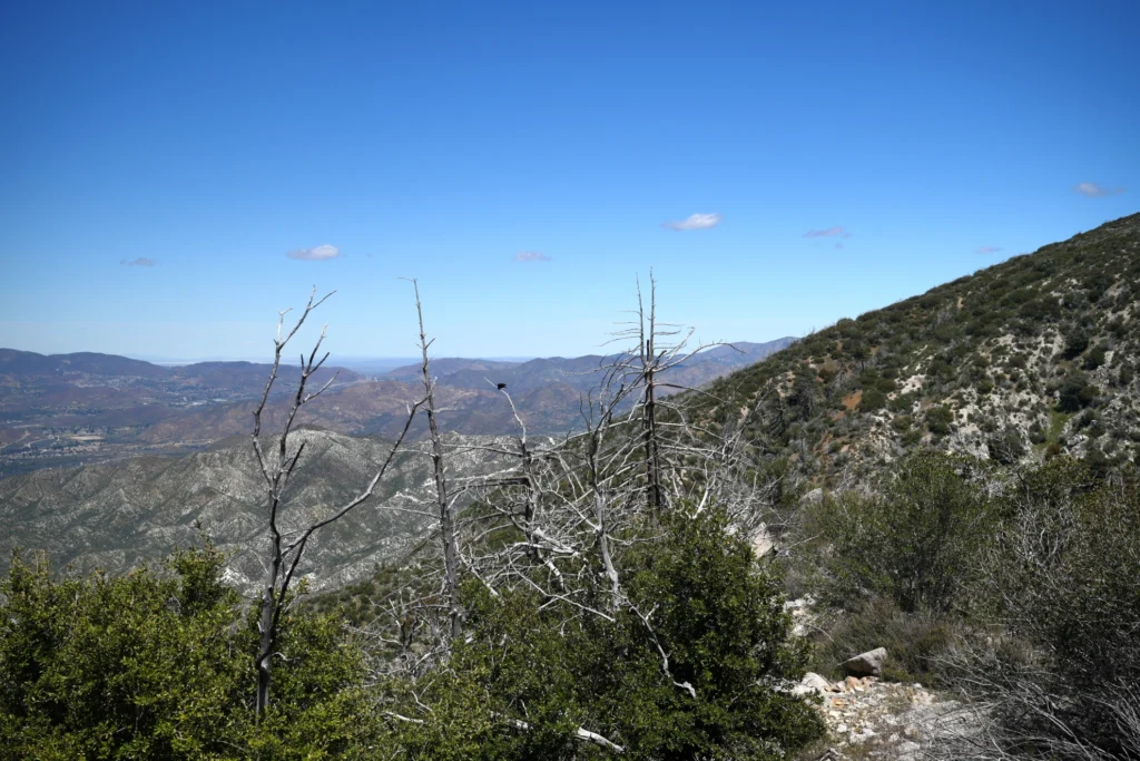 J31 début de Mattox Canyon