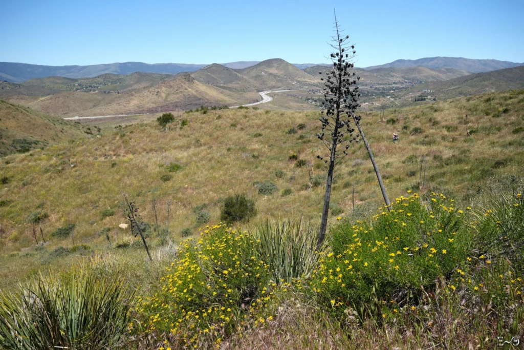 J32 Antelope Valley Freeway