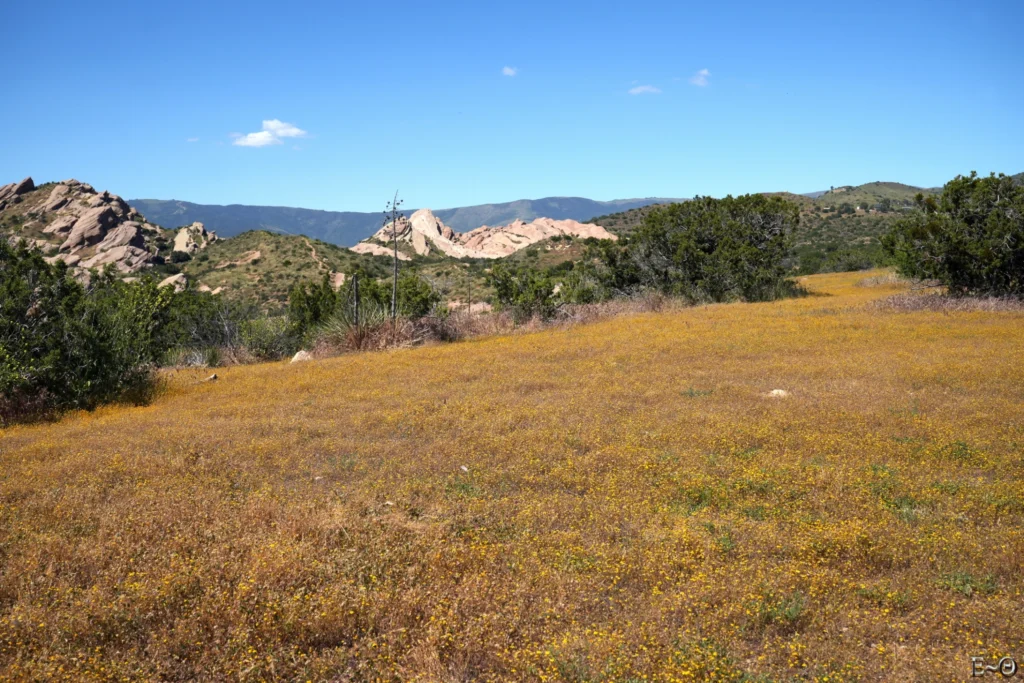 J32 Bloom flower vers Vasquez Rock