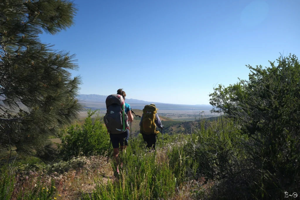 J37 Hikeuses pressées