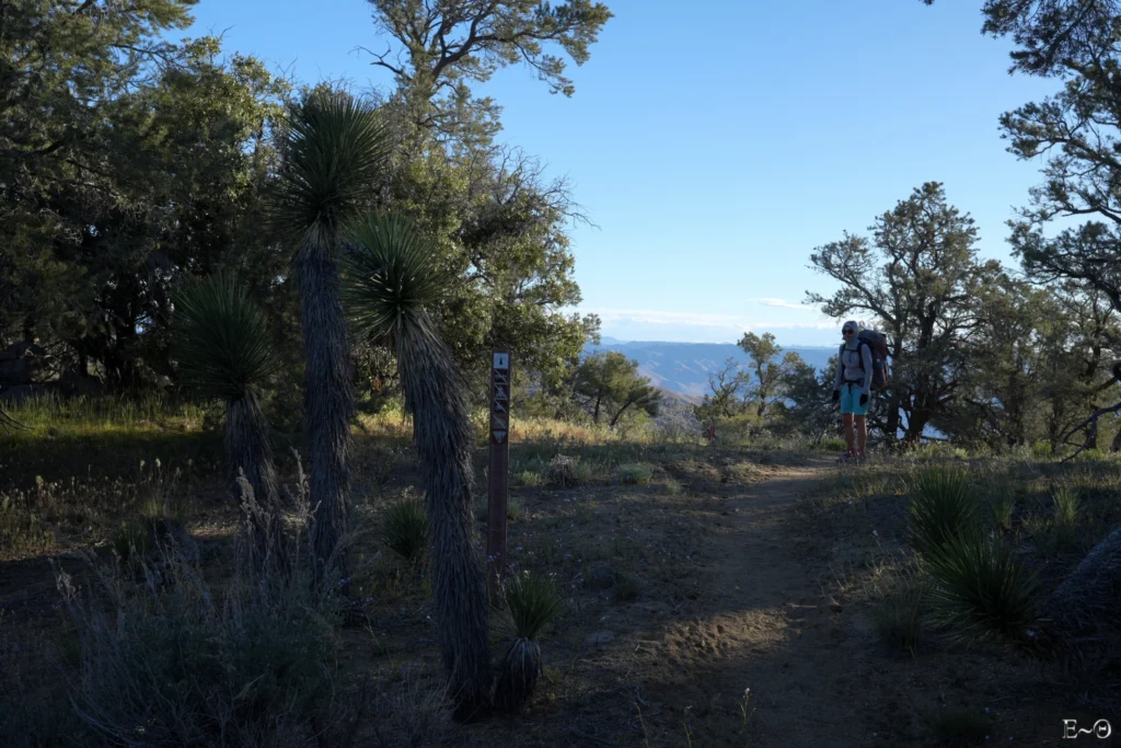 J44 Dans les collines de Pinyon Moutain