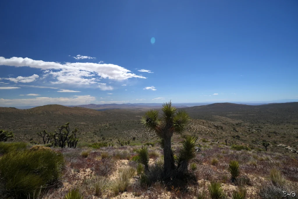 J44 L’immense plaine de Dove spring canyon