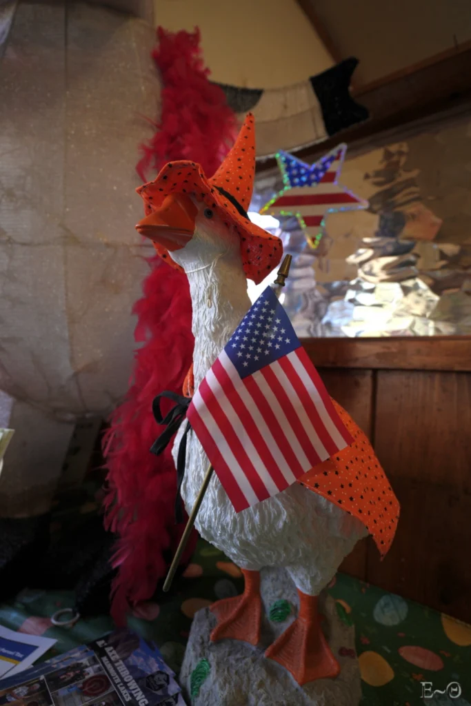 J73 Goose American Flag