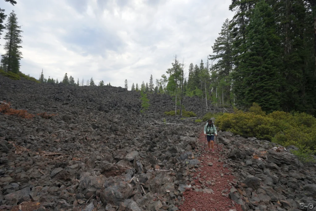 J109 Au sortir de Winema National Forest