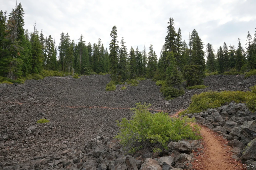 J109 Coulée de lave du Mont Brown
