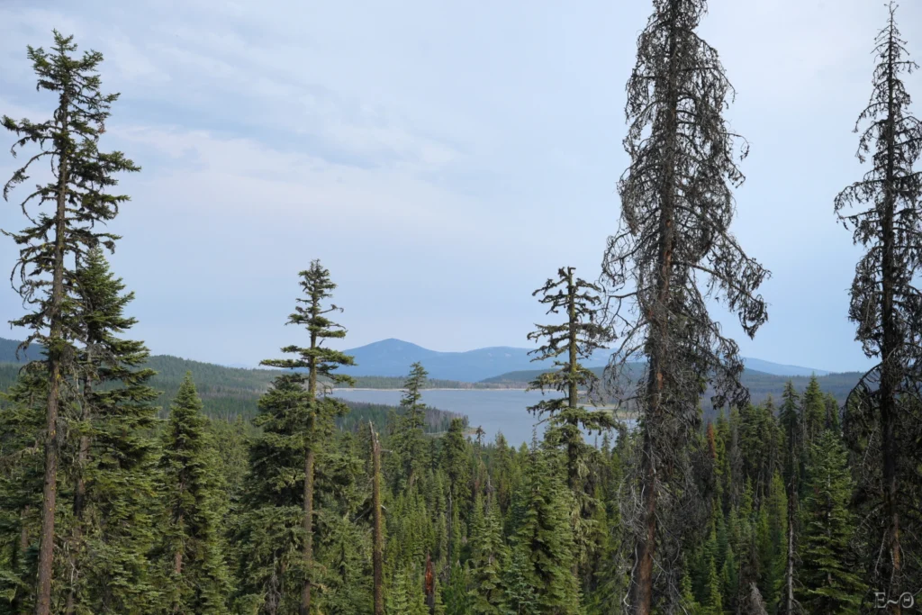 J109 Fourmile Lake
