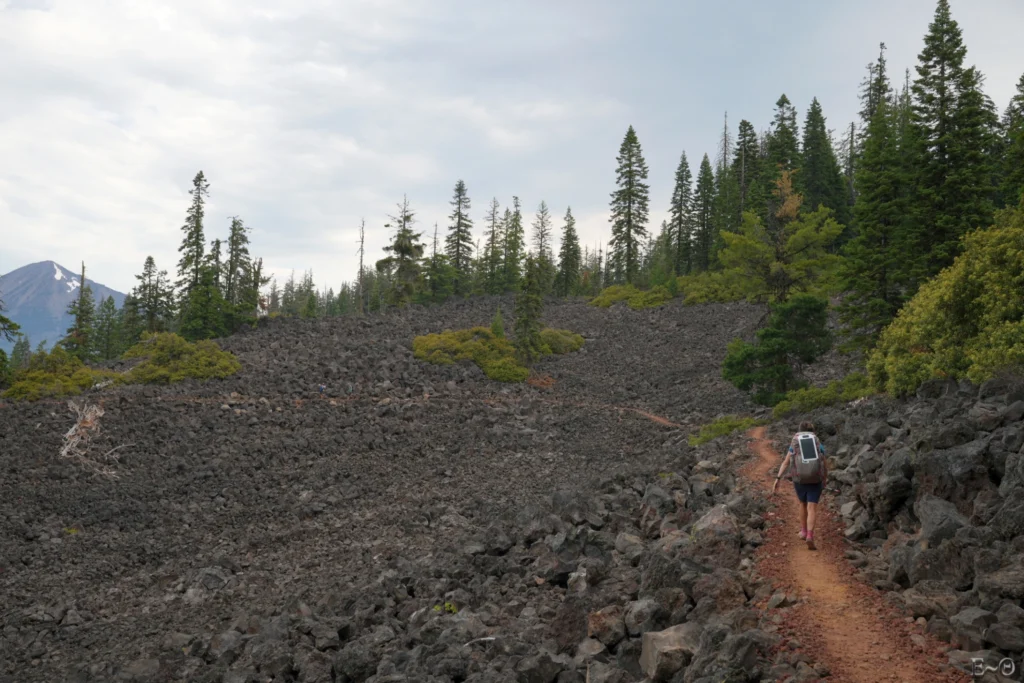 J109 La longue portion du mont Brown