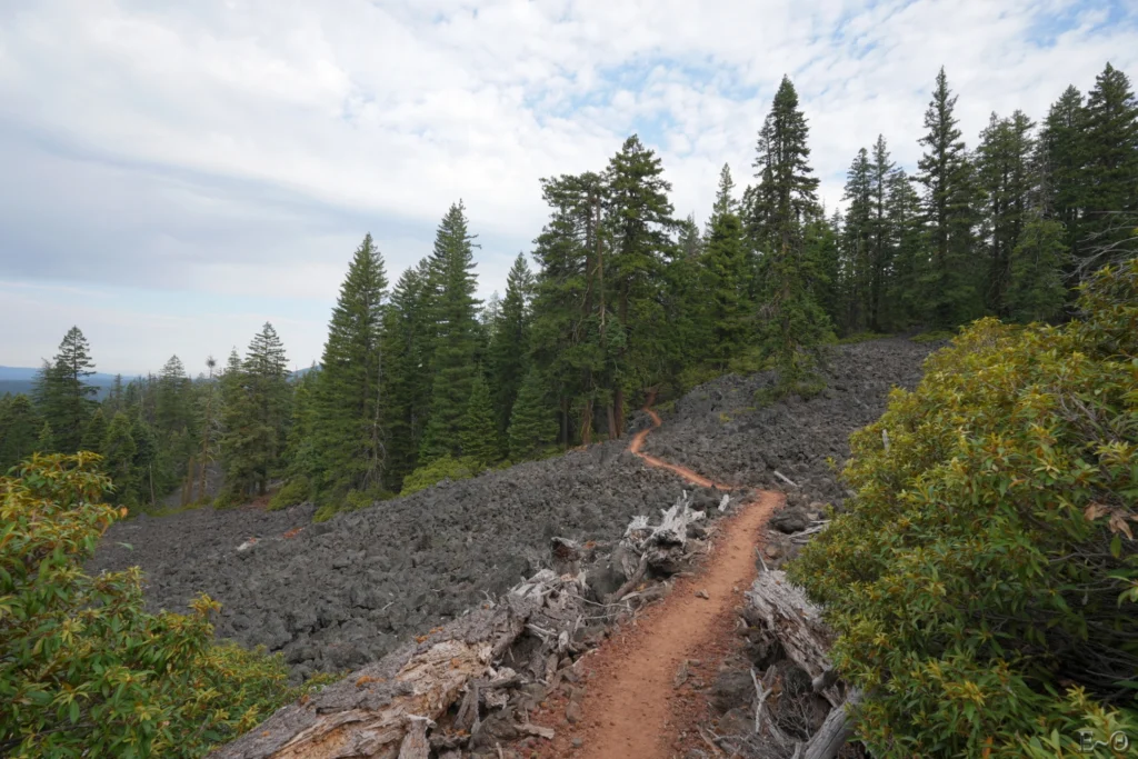 J109 Les pentes du Volcan Brown