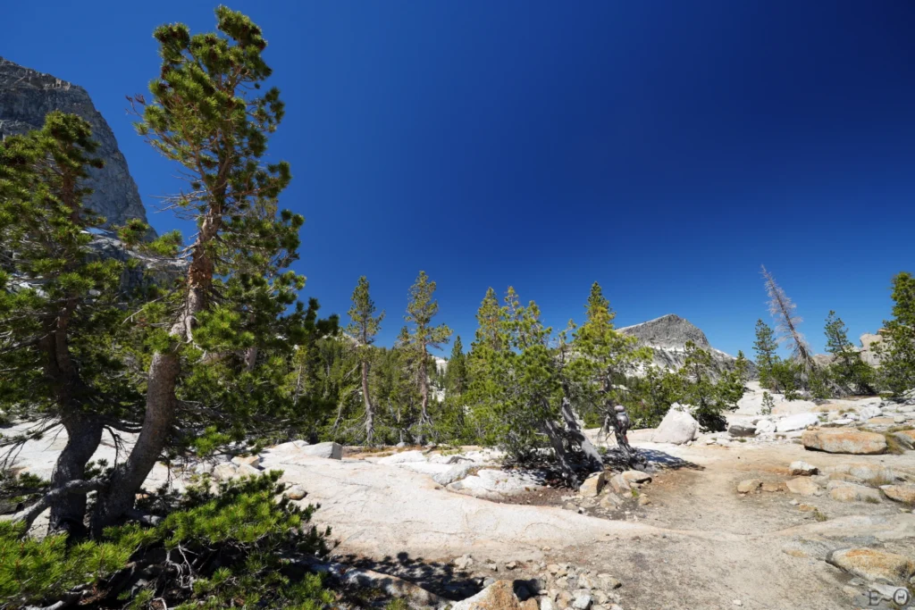 J79 Le labyrinthe sous Volunteer Peak