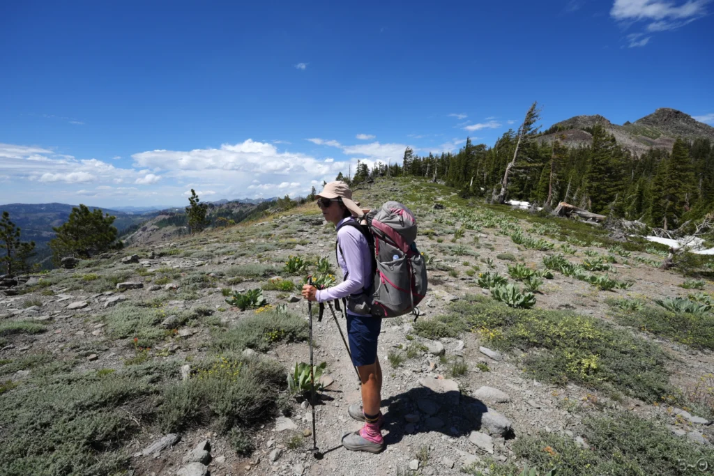 J90 Le PCT dans Granite Chief Wilderness
