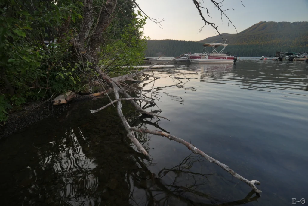 J113 Les berges du lac Odell