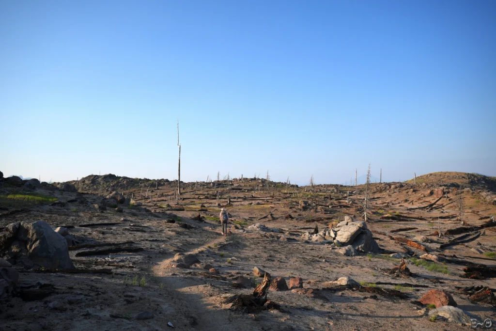 J114 Désert de cendre, à parte de vue