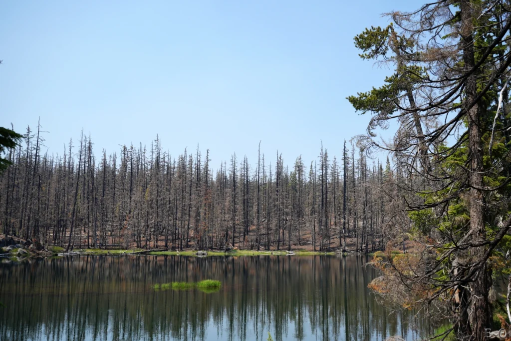 J115 Island Lake