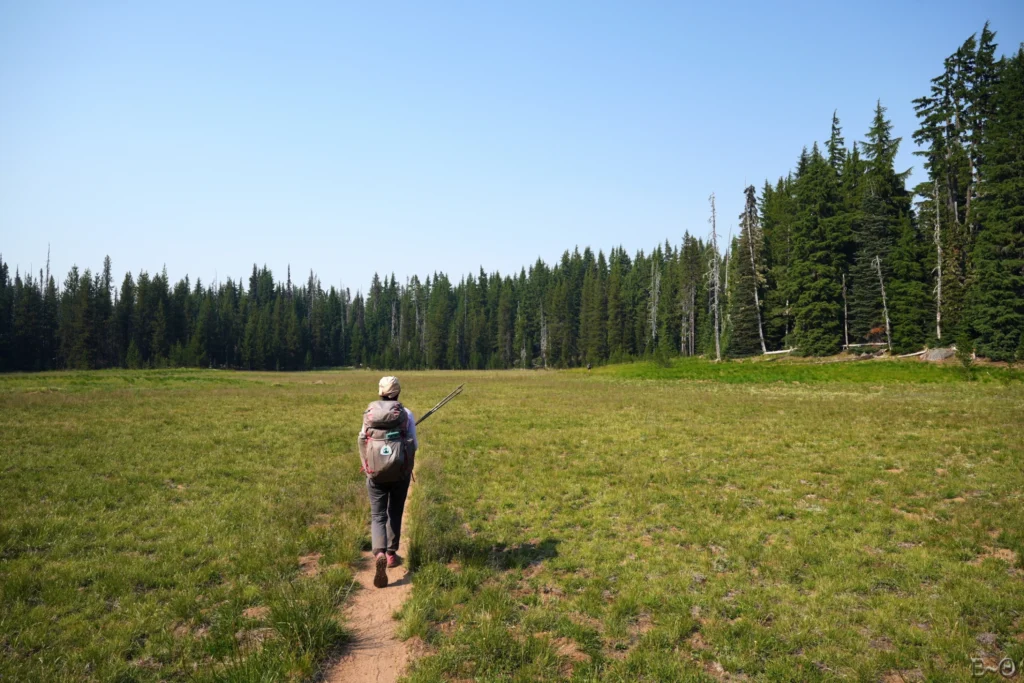 J115 La magnifique prairie de Reserve Meadow