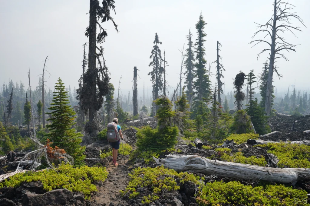 J119 Dans les brumes des feux de l’ouest de l’Oregon