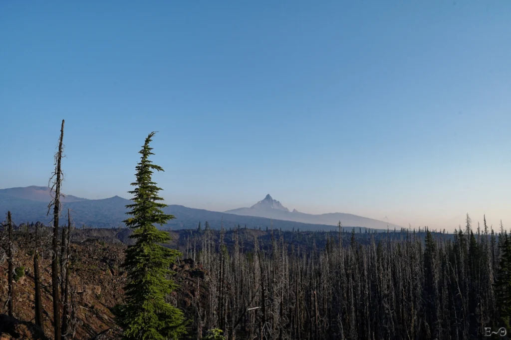 J119 Three Fingered Jack