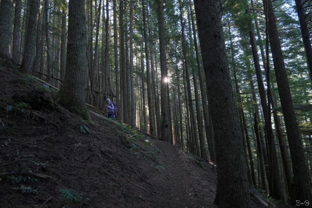 J126 Au matin dans la mmontée de Bald Mountain