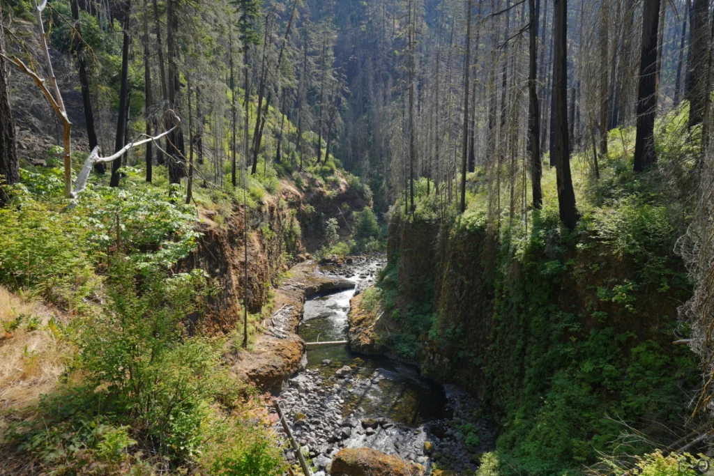 J127 Le canyon d’Eagle Creek