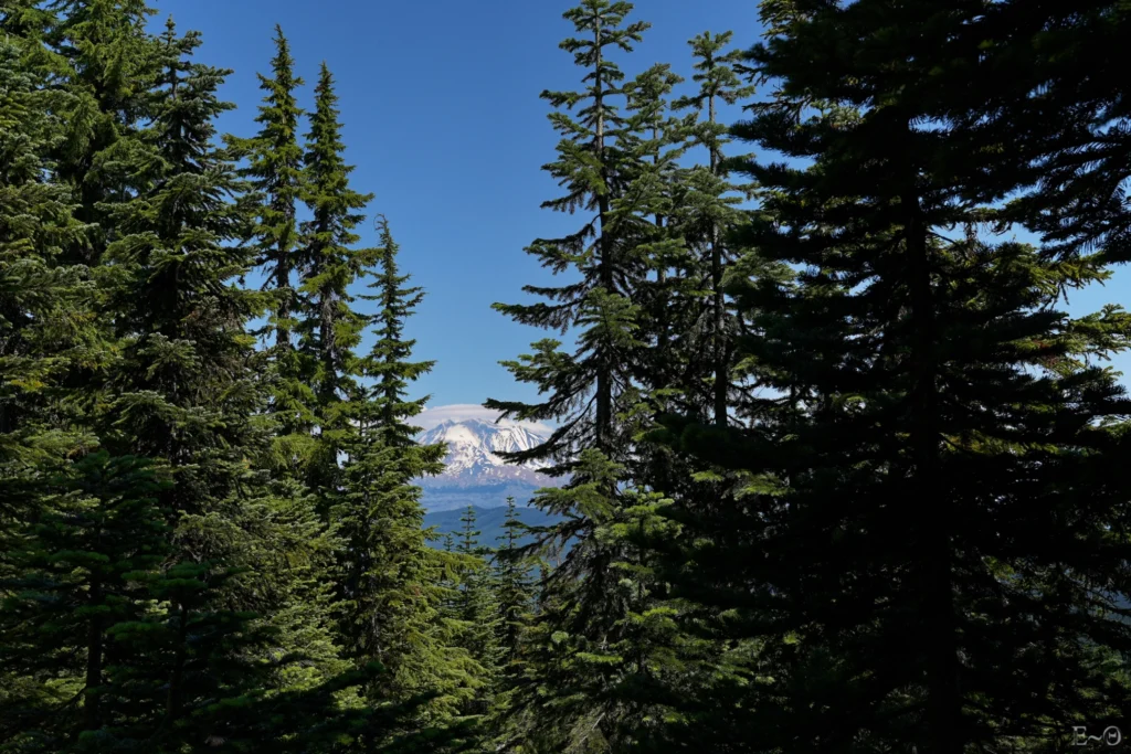 J131 Au loin le Mount Adams