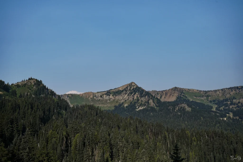 J136 Le dôme du Mont Rainier derrière Silver King Peak