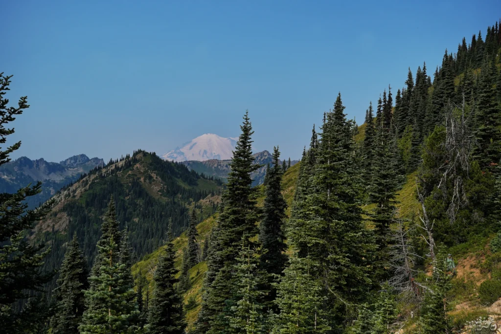 J136 Le mount Rainier vue du col Pickhandle